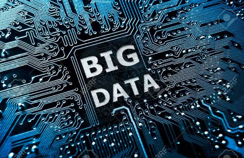 大數(shù)據(jù)賦能現(xiàn)代農(nóng)業(yè) 小小藍(lán)莓化身“發(fā)財(cái)果”的科技密碼